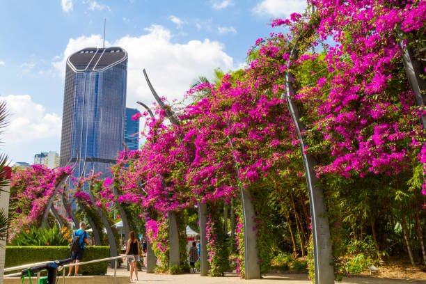 Windscreen Replacement Brisbane
